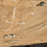 Clif Bar in the wall