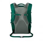 questa_27_f18_back_tropical_green