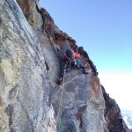 cararach2