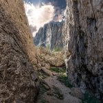 nature-3080664_1280_5a6afd59e749a
