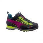 vertex w’s pink green