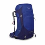 sirrus44_s22_side_blueberry_1