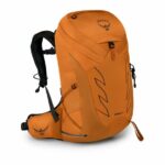 web__0101_tempest_24_s21_side_bell_orange